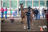 4H-District-15-0750.jpg