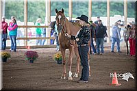 4H-District-15-0751.jpg