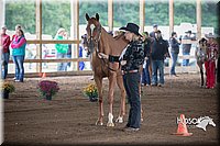 4H-District-15-0752.jpg