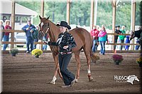 4H-District-15-0753.jpg