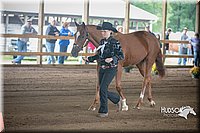 4H-District-15-0754.jpg