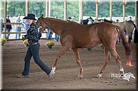 4H-District-15-0758.jpg