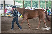 4H-District-15-0759.jpg