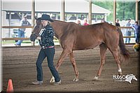 4H-District-15-0760.jpg