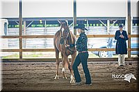 4H-District-15-0761.jpg