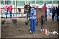 4H-District-15-0762.jpg