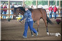 4H-District-15-0764.jpg