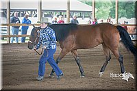 4H-District-15-0768.jpg