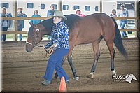 4H-District-15-0770.jpg