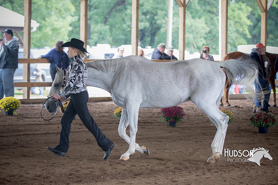 4H-District-15-0806.jpg