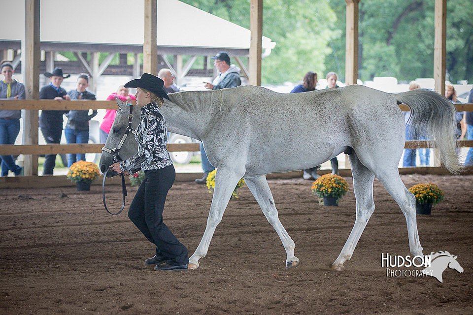 4H-District-15-0807.jpg