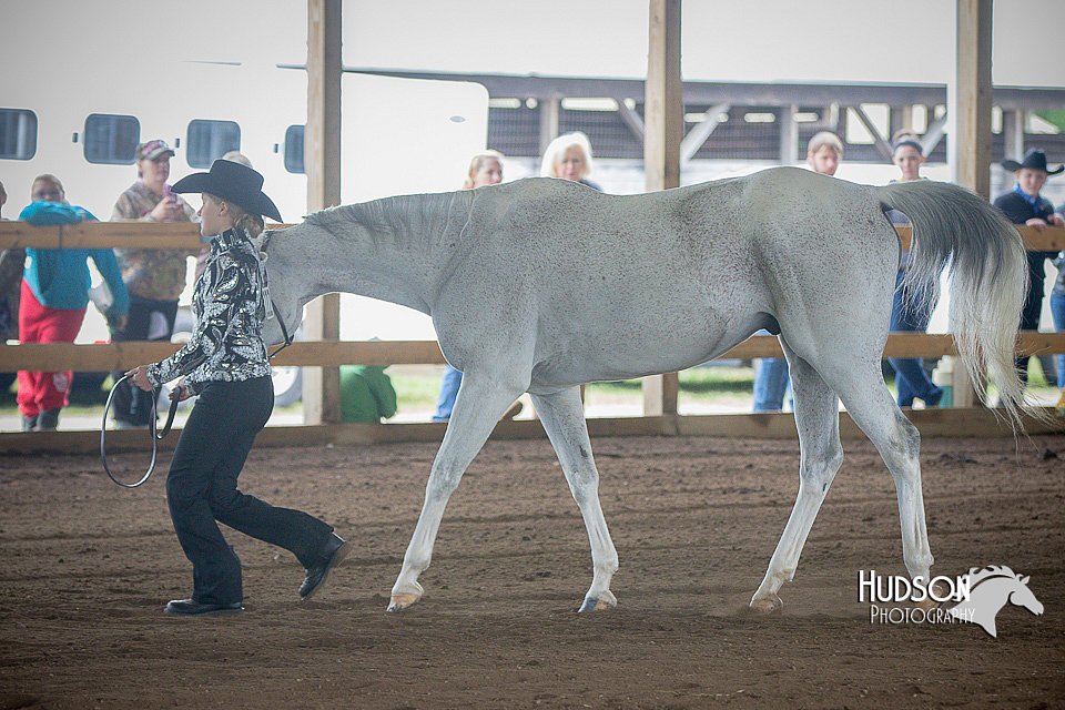 4H-District-15-0809.jpg