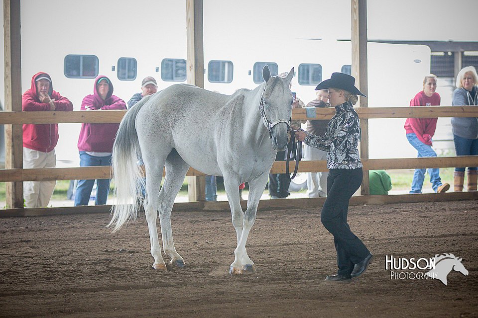 4H-District-15-0811.jpg