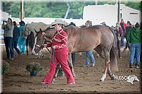 4H-District-15-0775.jpg