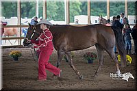 4H-District-15-0778.jpg