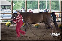 4H-District-15-0779.jpg