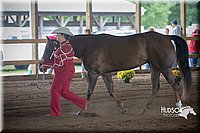 4H-District-15-0780.jpg