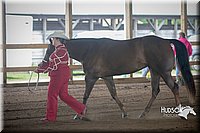 4H-District-15-0781.jpg