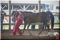 4H-District-15-0782.jpg