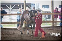 4H-District-15-0783.jpg