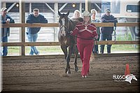 4H-District-15-0784.jpg