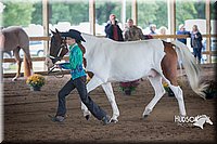 4H-District-15-0791.jpg