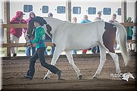 4H-District-15-0793.jpg