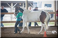 4H-District-15-0794.jpg