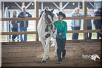 4H-District-15-0796.jpg