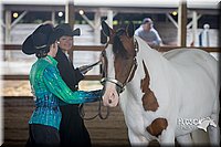 4H-District-15-0800.jpg