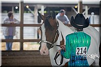 4H-District-15-0801.jpg