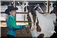 4H-District-15-0802.jpg