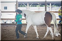 4H-District-15-0803.jpg