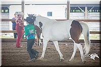 4H-District-15-0804.jpg