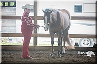 4H-District-15-0823.jpg