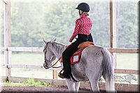 4H-District-15-0908.jpg