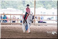 4H-District-15-0911.jpg