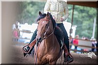 4H-District-15-1043.jpg