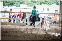 4H-District-15-1065.jpg