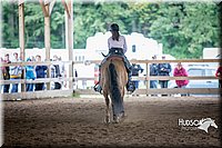 4H-District-15-1109.jpg