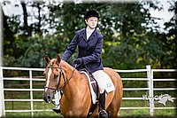 21. Low Equitation Over Fences - Sr. Rider