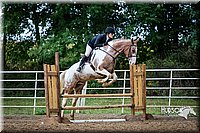 28. Hunter Hack Horses