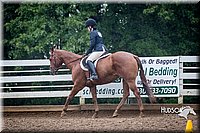 34. Classic Hunter Under Saddle Horses - Sr. Rider