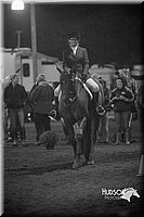 42. Hunter Seat Equitation (on the flat) - Jr. Division