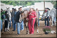 44. Western Grooming & Showmanship -Intermediate Division