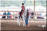 48. Beginner Western Horsemanship