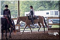 49. Western Pleasure Horses, Sr. Rider