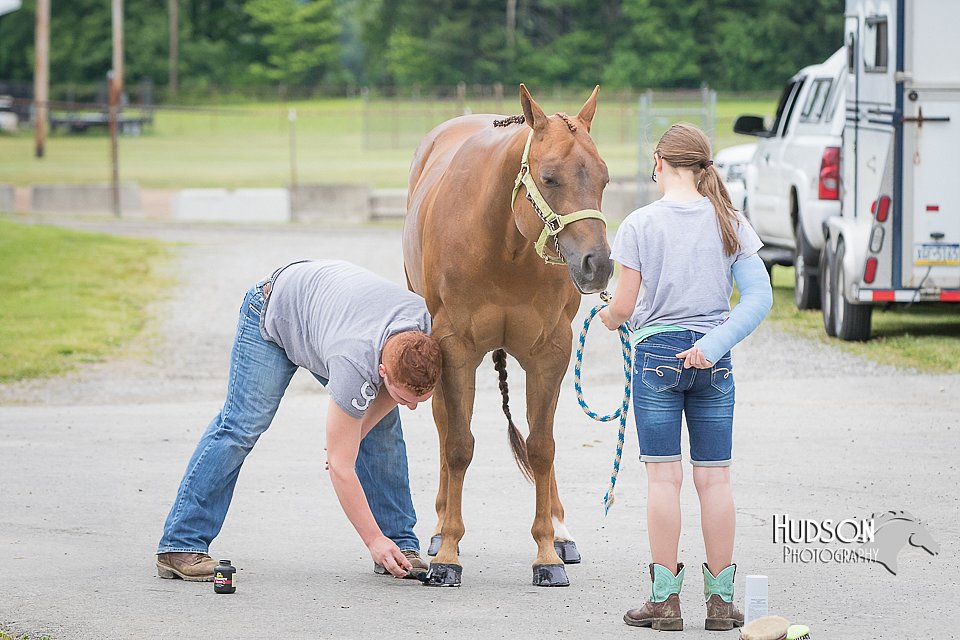 4H-FUN-060615-0026.jpg