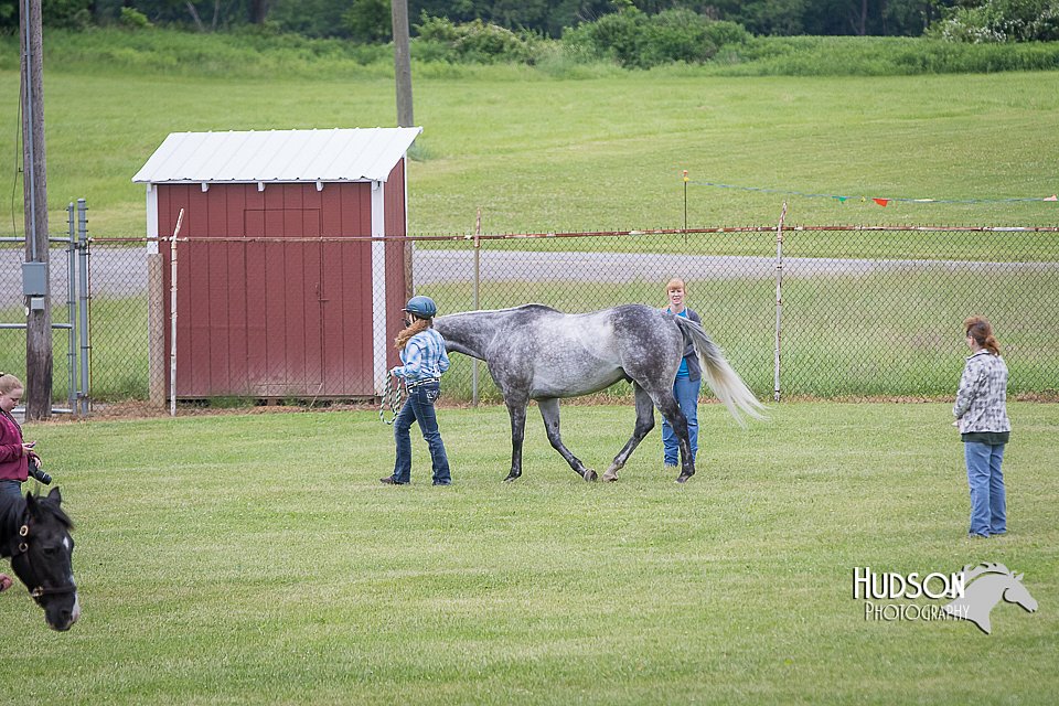 4H-FUN-060615-0027.jpg