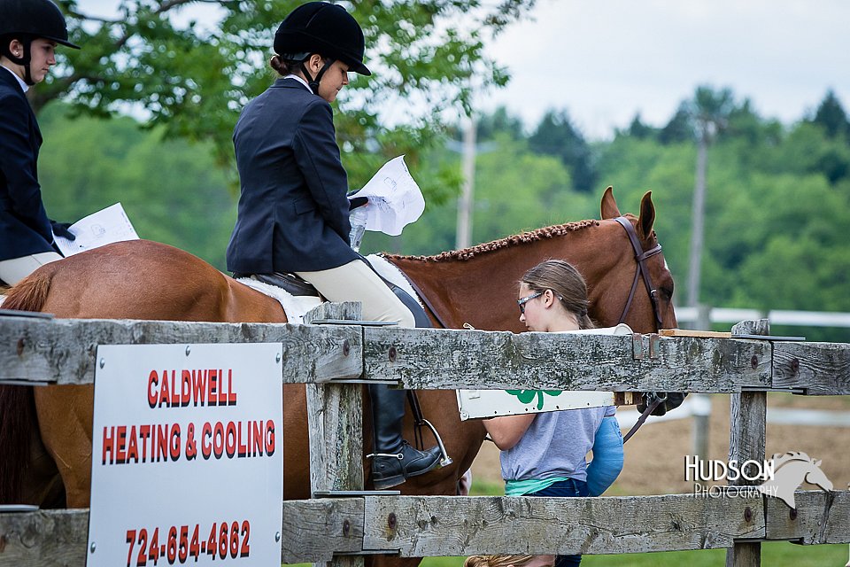 4H-FUN-060615-0964.jpg